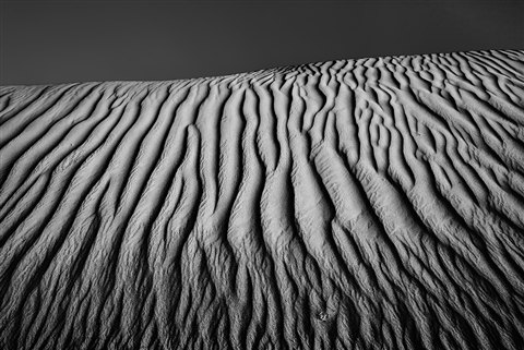 desert 11